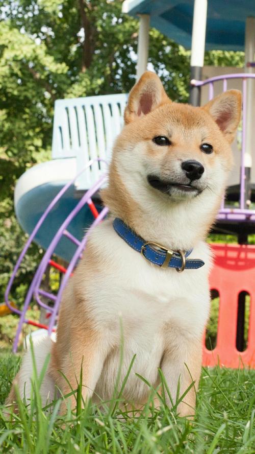 ձһ뾳߸ȾϷǳֵı¹ڲ